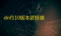 dnf110版本武极装备怎么搭配